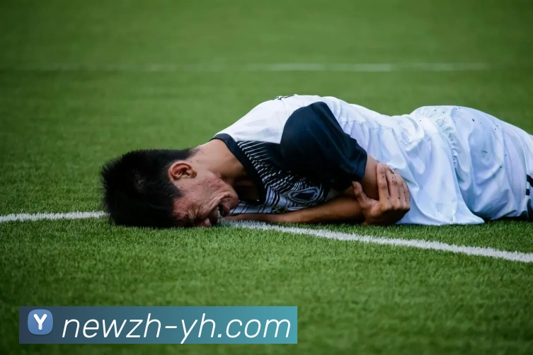 美高梅MGM官网平台生态图